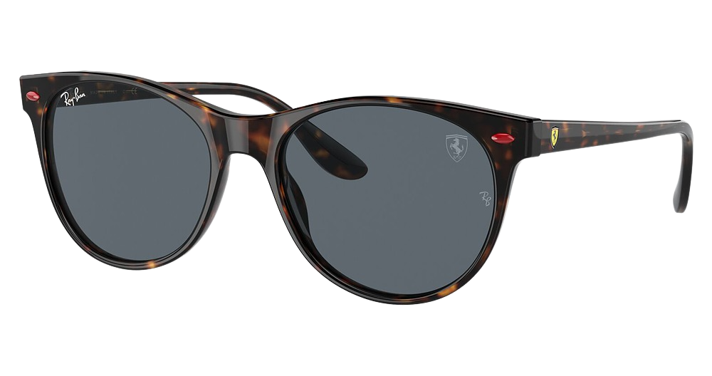 Ray-Ban RB2202M round sunglasses in Havana/Blue