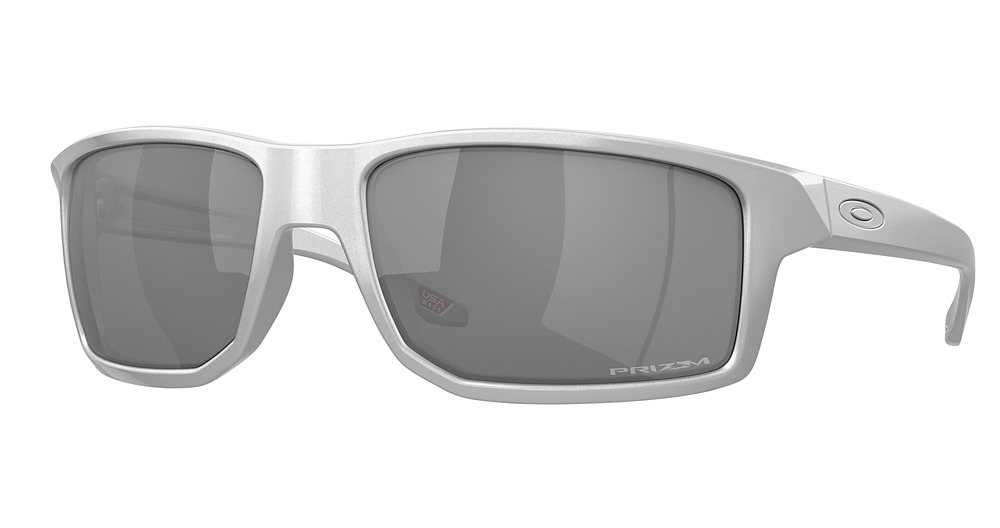 X-SILVER / PRIZM BLACK