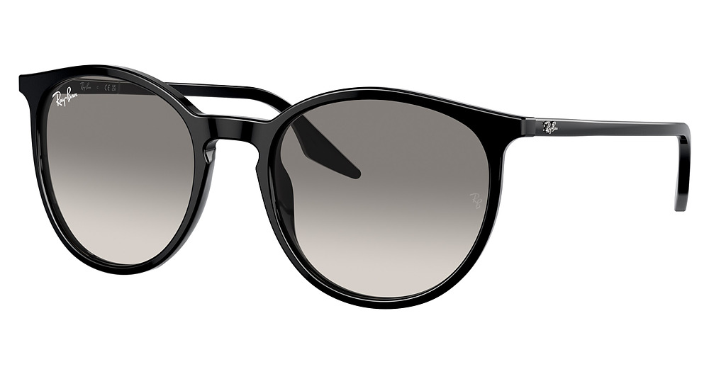 Ray-Ban RB2204F round sunglasses in Black/Clear Gradient Grey