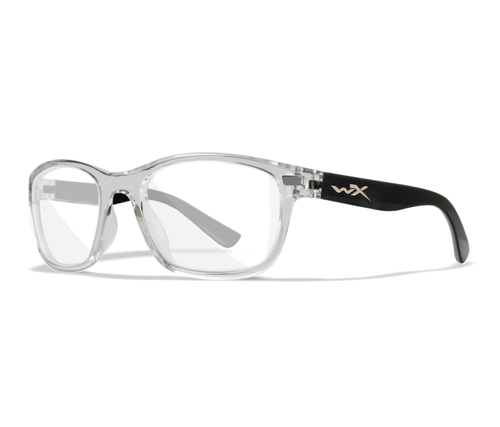 CRYSTAL GREY WITH GLOSS BLACK TEMPLES / Clear