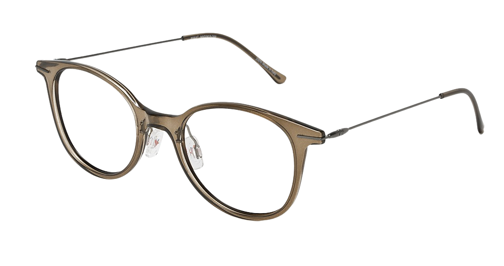 Transparent Taupe with Dark Gunmetal temples