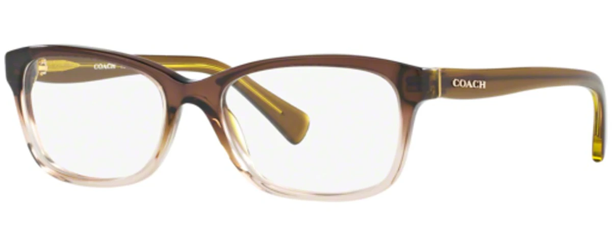 TRANSPARENT OLIVE GRADIE