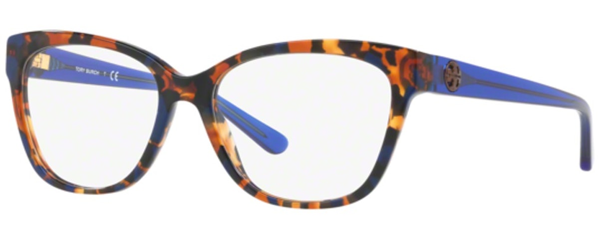 BLUE FLAKE TORTOISE