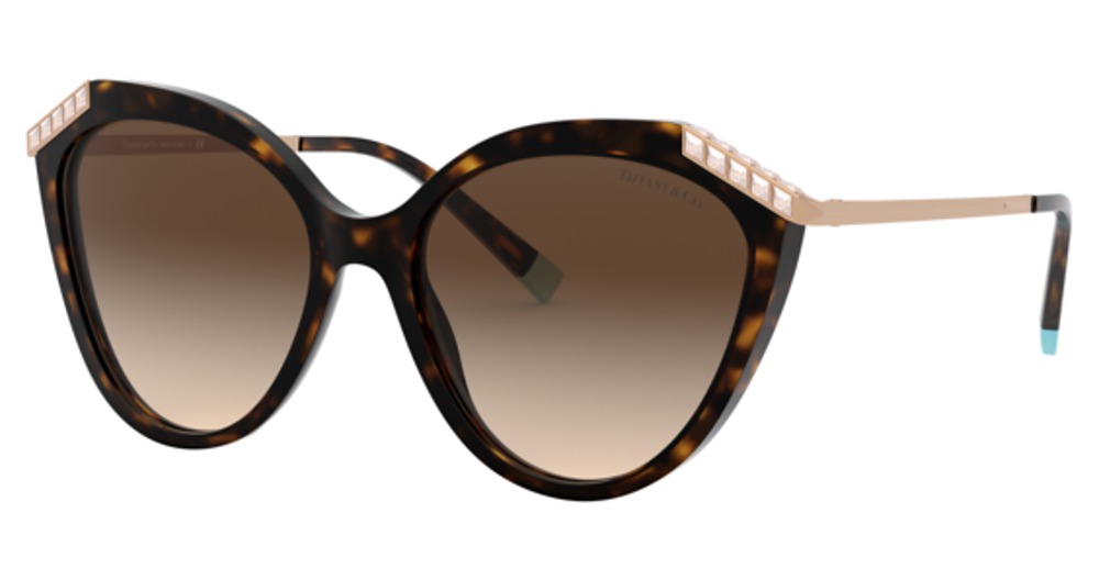 HAVANA / BROWN GRADIENT