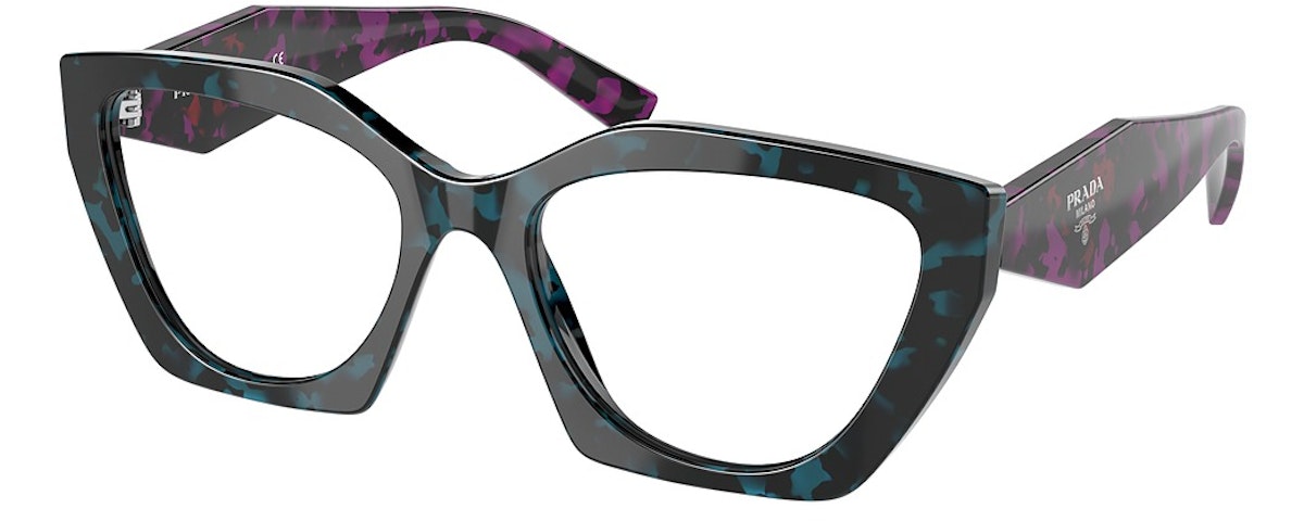 TEAL TORTOISE