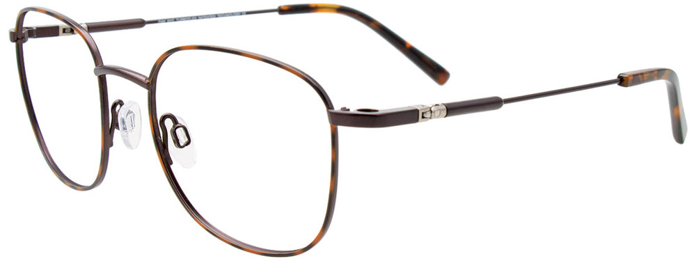 Brown Tortoise / Black