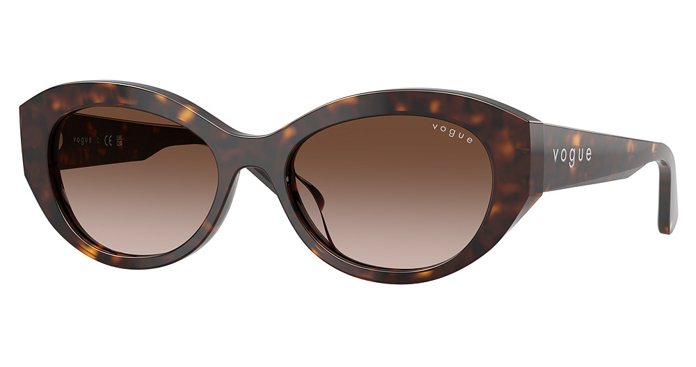DARK HAVANA / GRADIENT BROWN