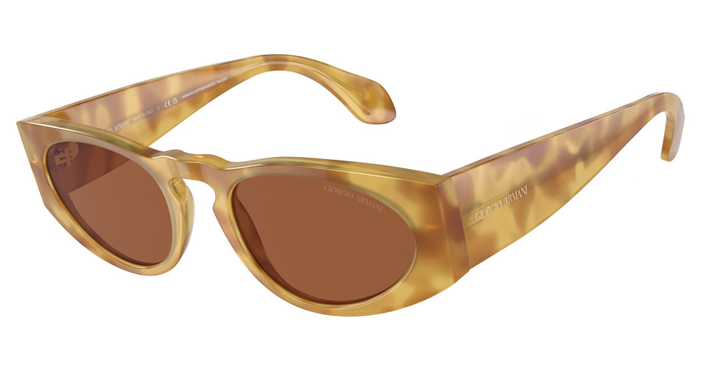YELLOW HAVANA / DARK BROWN