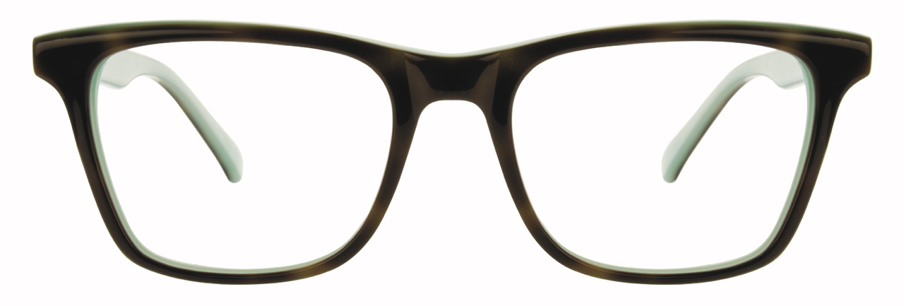 Tortoise / Mint