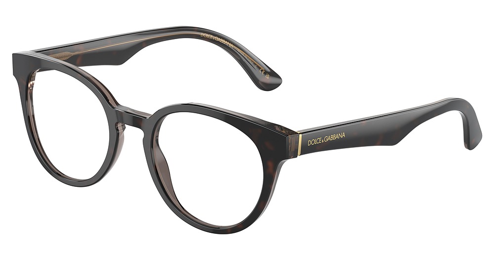 HAVANA/TRANSPARENT BROWN