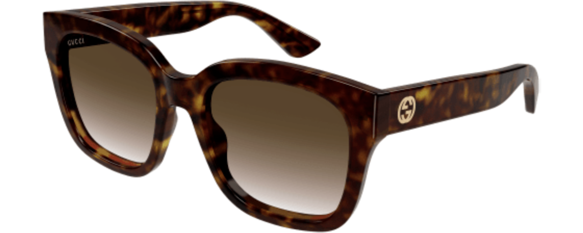 HAVANA / BROWN
