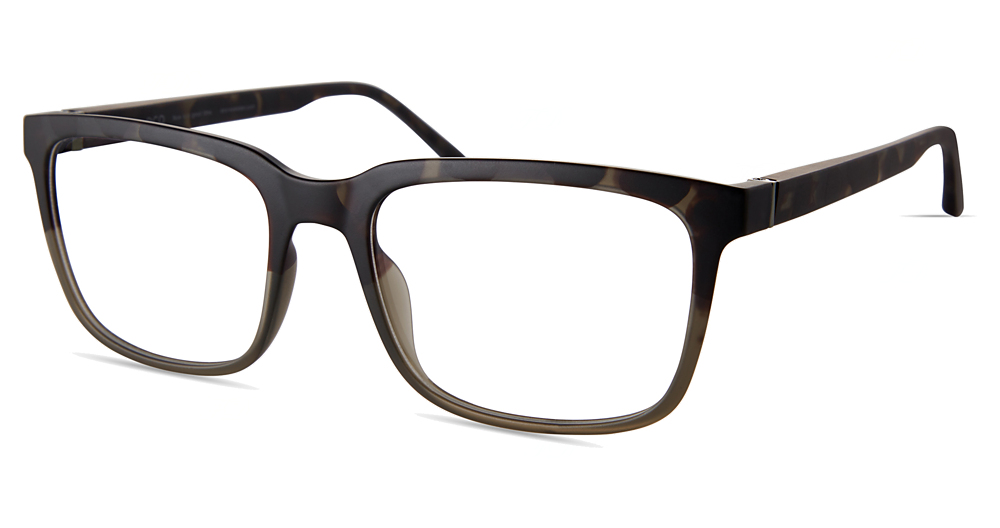 GREEN TORTOISE GRADIENT