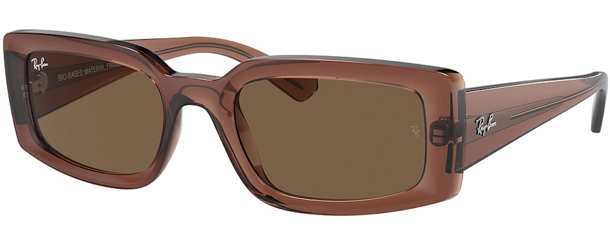 TRANSPARENT BROWN / DARK BROWN
