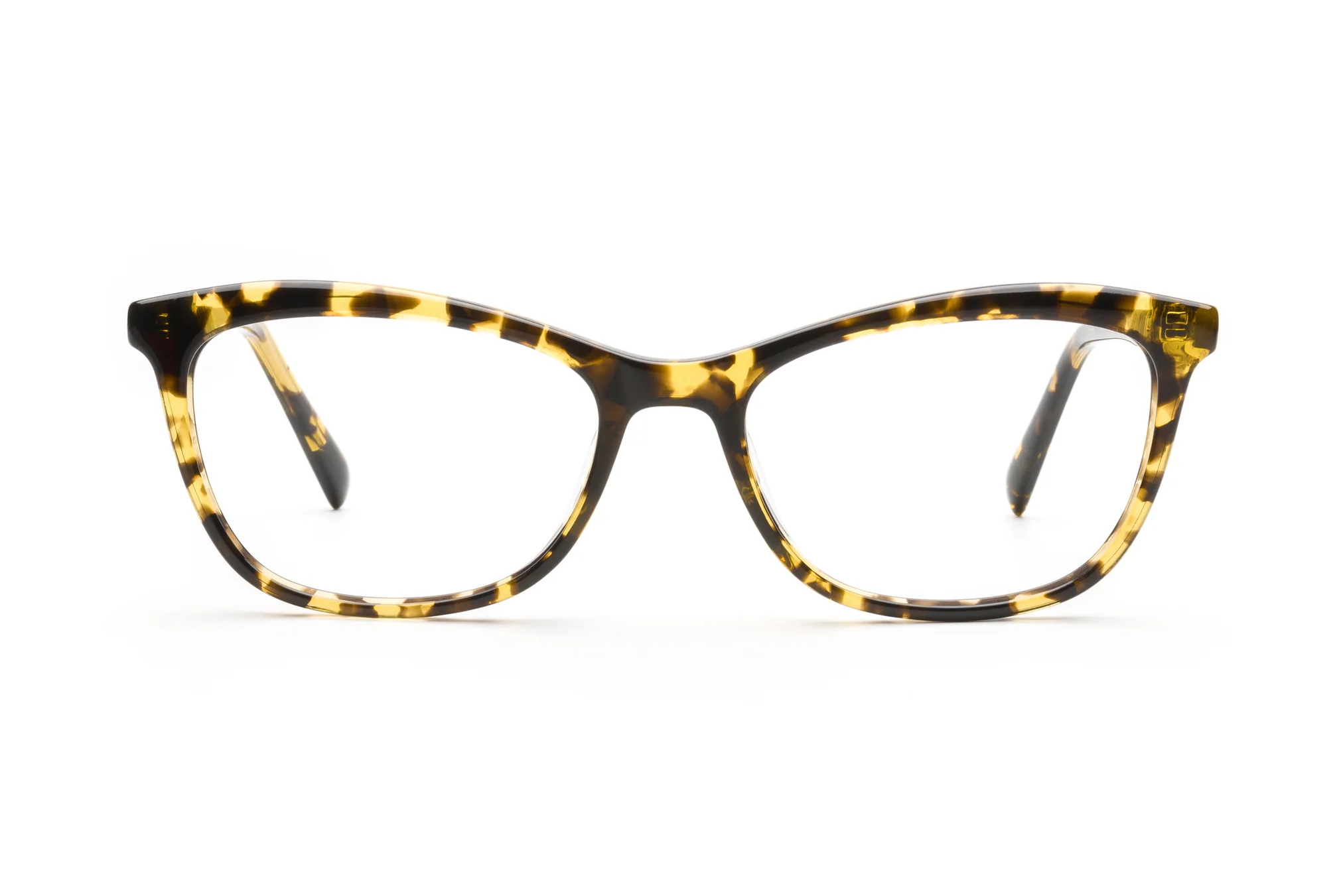 Tokyo Tortoise