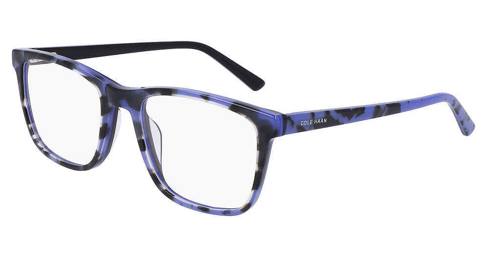 BLUE TORTOISE