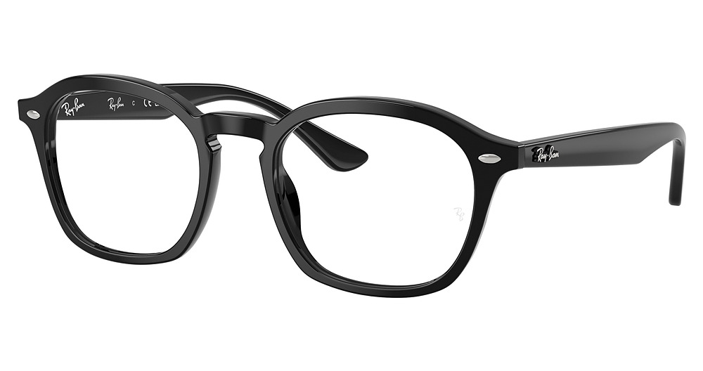 Ray-Ban RX5451F round eyeglasses in Black