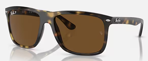 HAVANA / POLAR BROWN