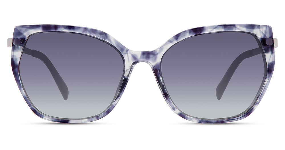 BLUE GREY TORTOISE