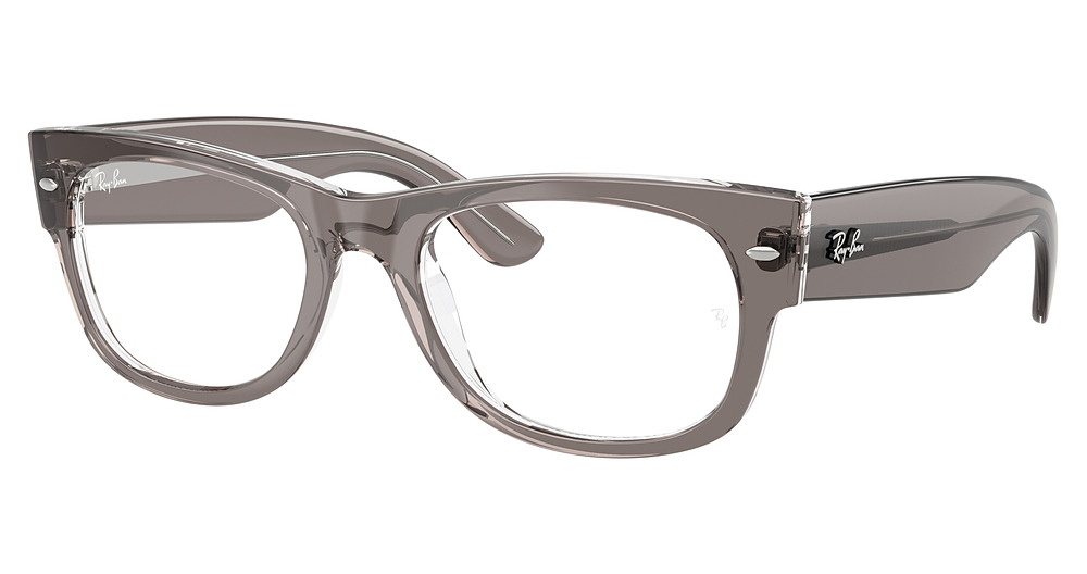 TRANSPARENT GREY ON TRAS