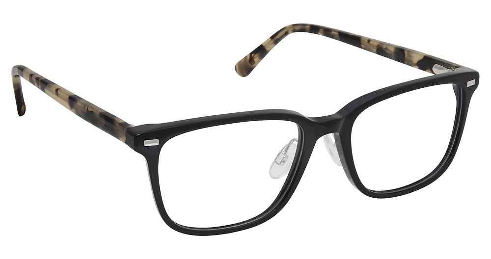BLACK TORTOISE