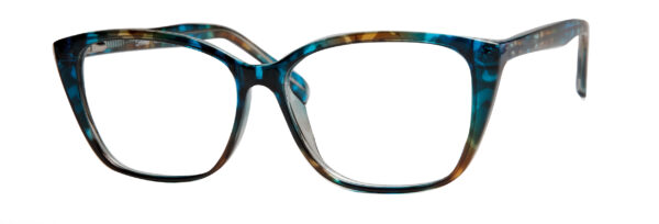 Blue Tortoise