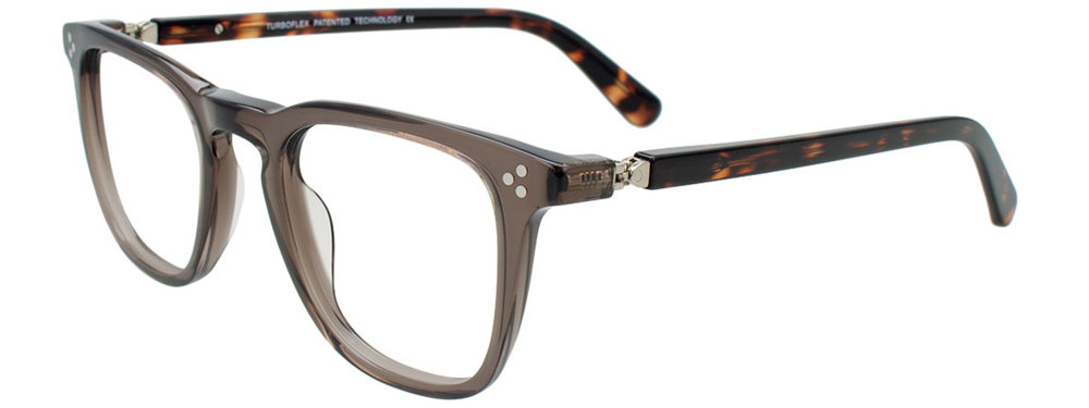Transparent Grey & Brown Tortoise