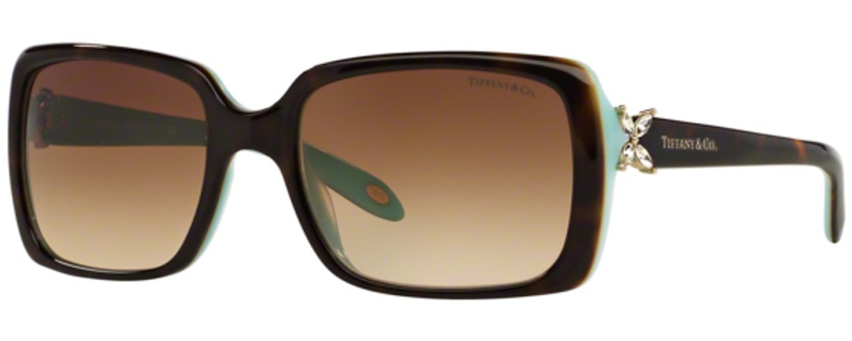 HAVANA ON TIFFANY BLUE / BROWN GRADIENT