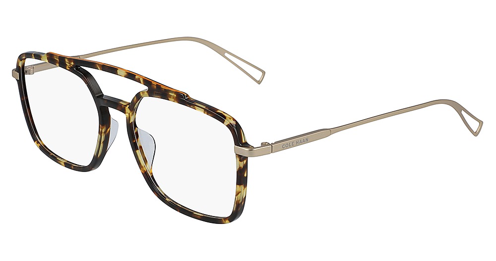 TOKYO TORTOISE