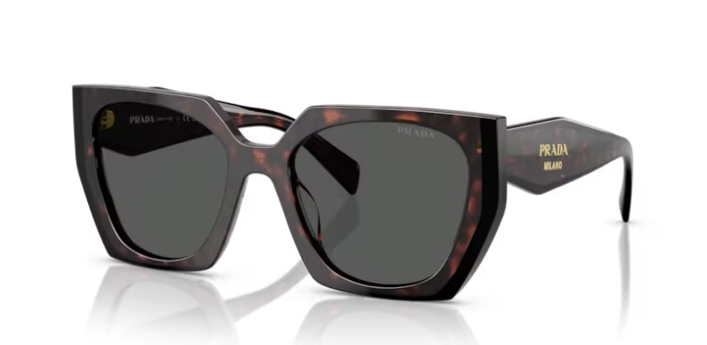 ROOT/BLACK / DARK GREY