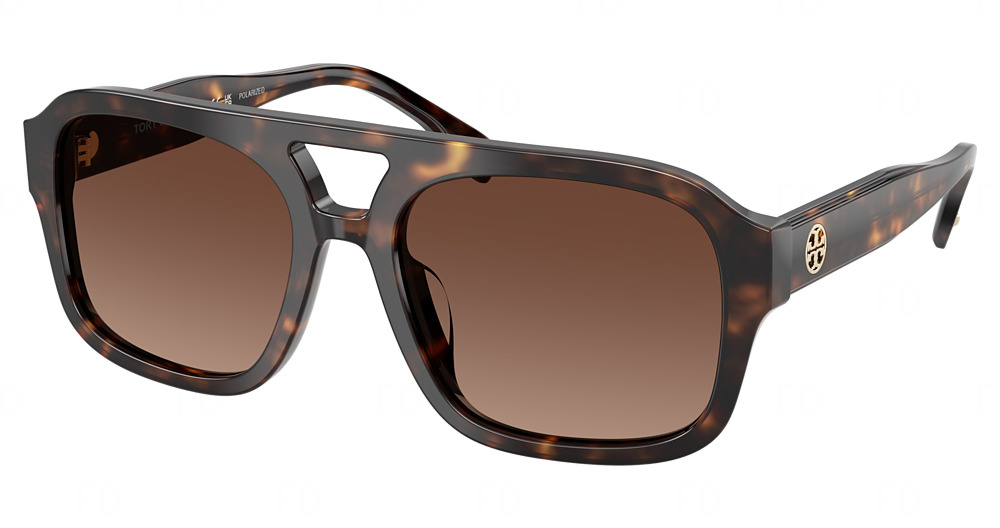 DARK TORTOISE / POLAR LIGHT BROWN GRADIENT