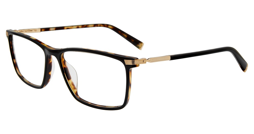 Black Tortoise