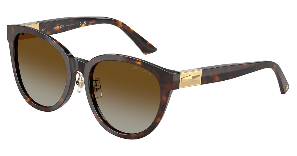 HAVANA / BROWN GRADIENT POLAR