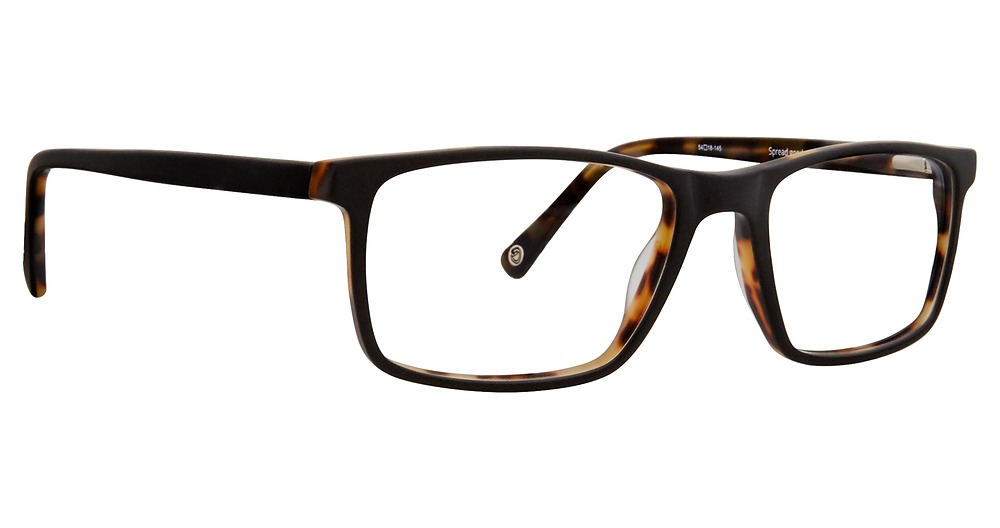 Black Tortoise