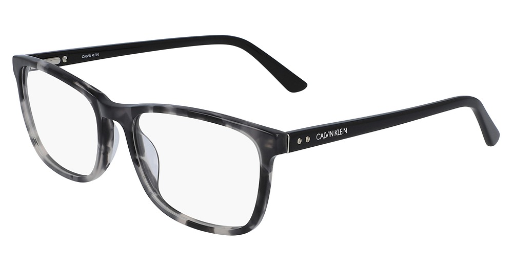 (022) CHARCOAL TORTOISE