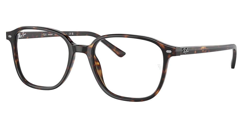 Ray-Ban RB2193 LEONARD round sunglasses in Havana/Grey