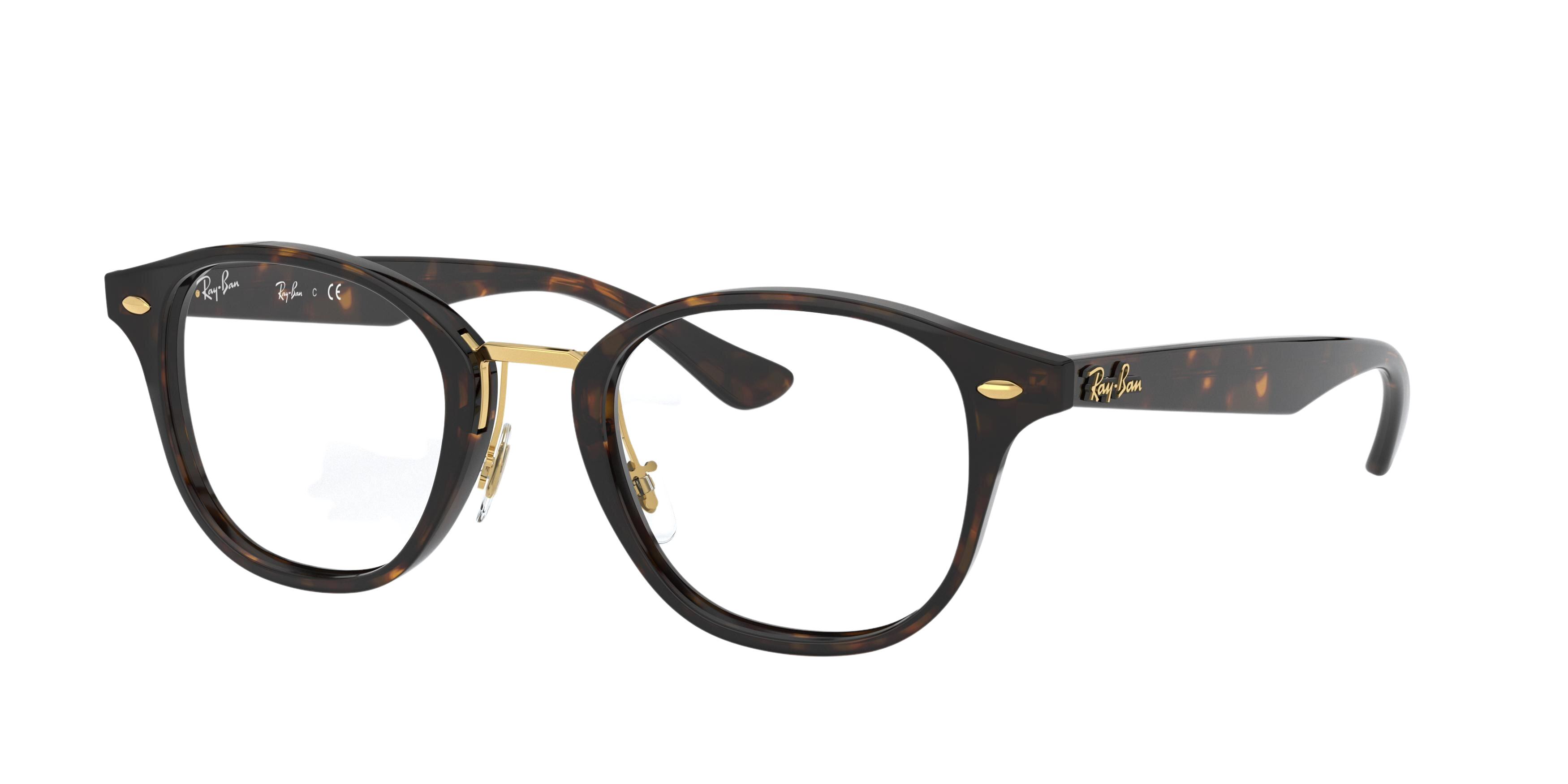 TOP BROWN HAVANA/HAVANA BROWN