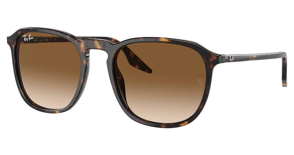 Ray-Ban RB2203 round sunglasses in Havana/Clear Gradient Brown