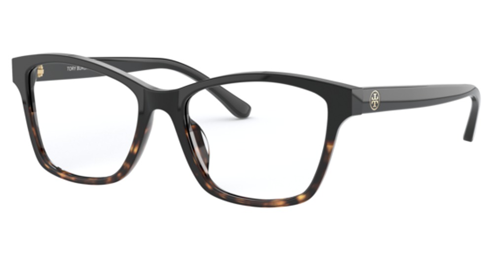 BLACK TORTOISE
