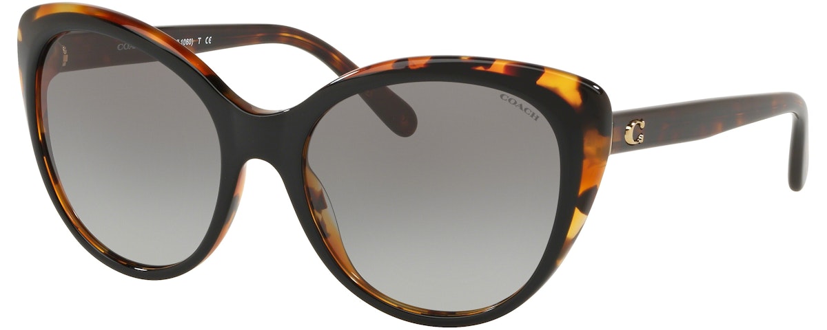 BLACK TORTOISE LAMINATE