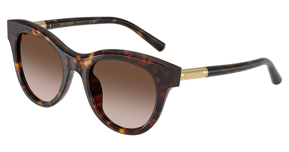 HAVANA / GRADIENT BROWN