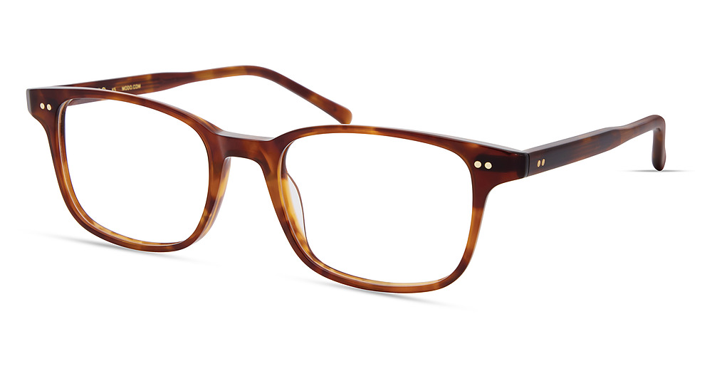 BLONDE TORTOISE