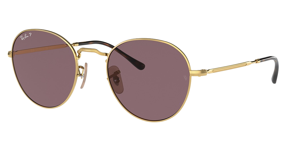 ARISTA / DARK VIOLET POLAR