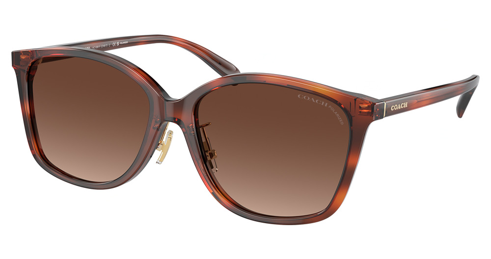 CARAMEL TORTOISE / BROWN GRADIENT POLAR
