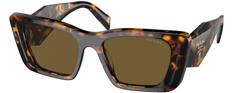 HONEY TORTOISE / DARK BROWN