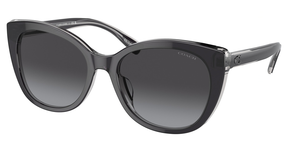 BLACK / TRANSPARENT GREY / GREY GRADIENT