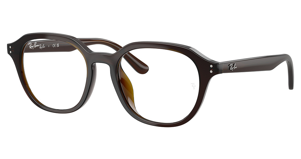 Ray-Ban RX7259D round eyeglasses in Transparent Brown