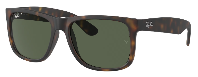 RUBBER HAVANA / DARK GREEN POLAR