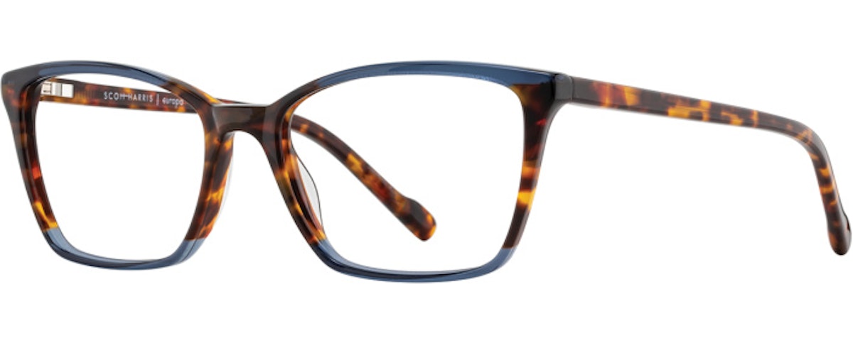 Tortoise / Navy