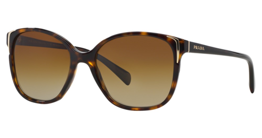HAVANA / POLAR BROWN GRADIENT