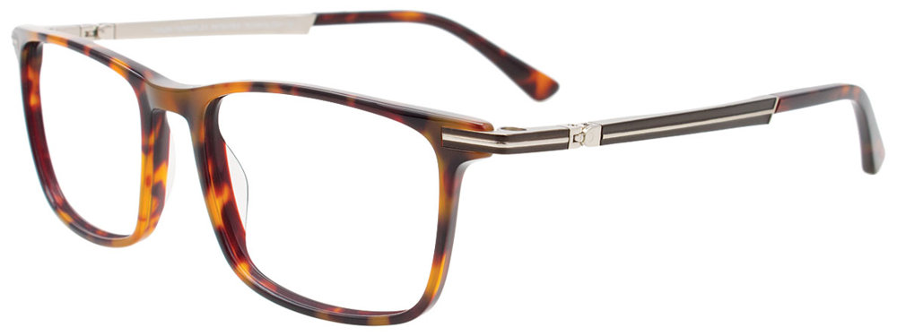 Brown Tortoise / Brown & Steel